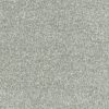 SILVER CLOUD