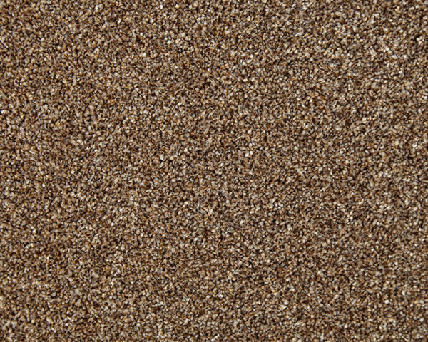 Pecan