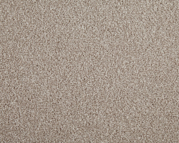 Linseed