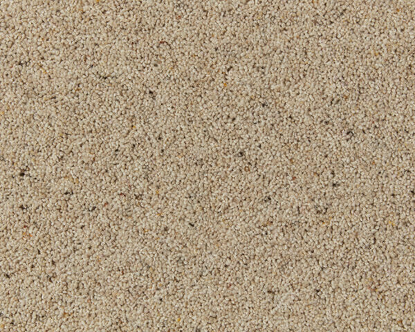 Seed