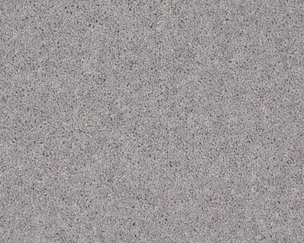 Dove Grey