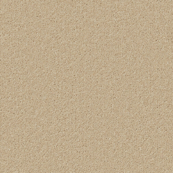 Fossil