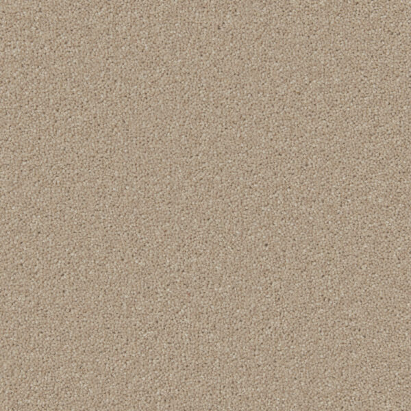 Italian Stone