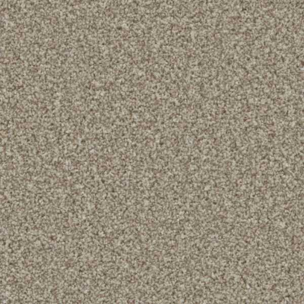 Pale Oak