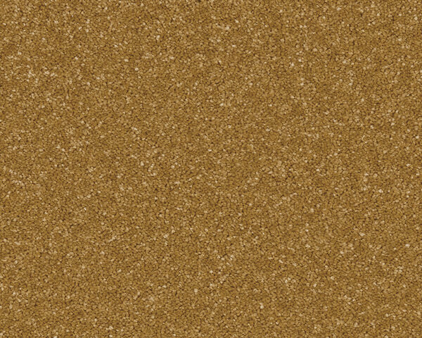 Midas Touch