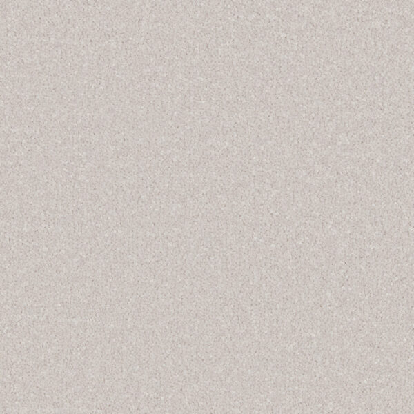 Alloy Grey