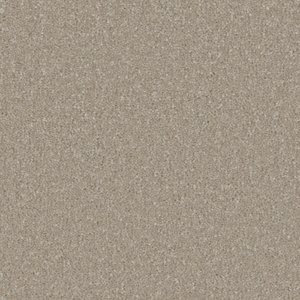 Arctic Grey