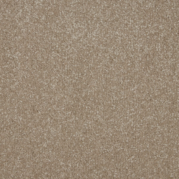 Cambrian Stone