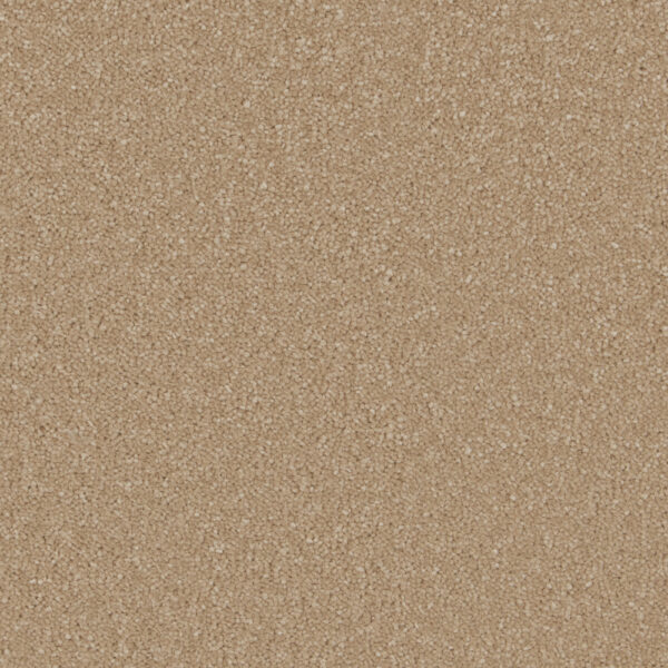 Gazelle