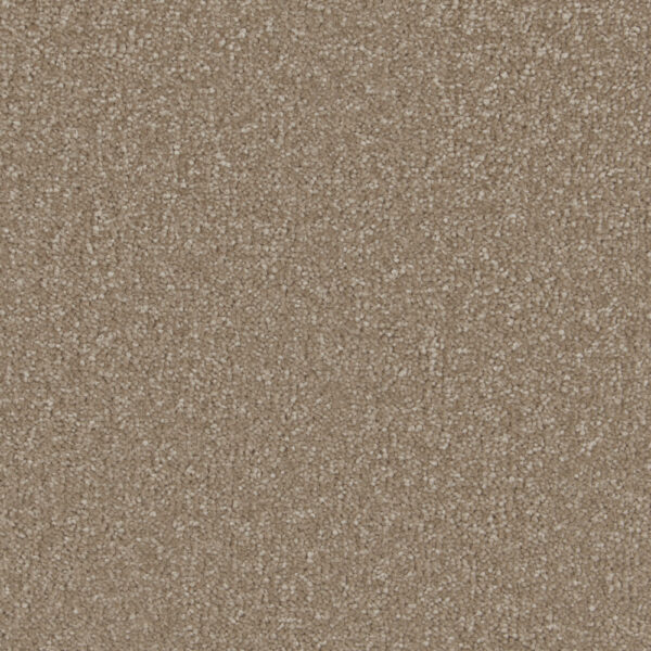 Light Taupe