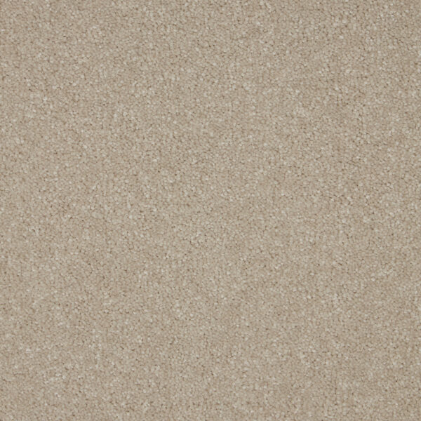 Ventura Opal