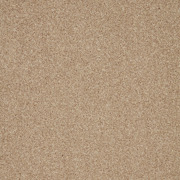 Palm Sugar