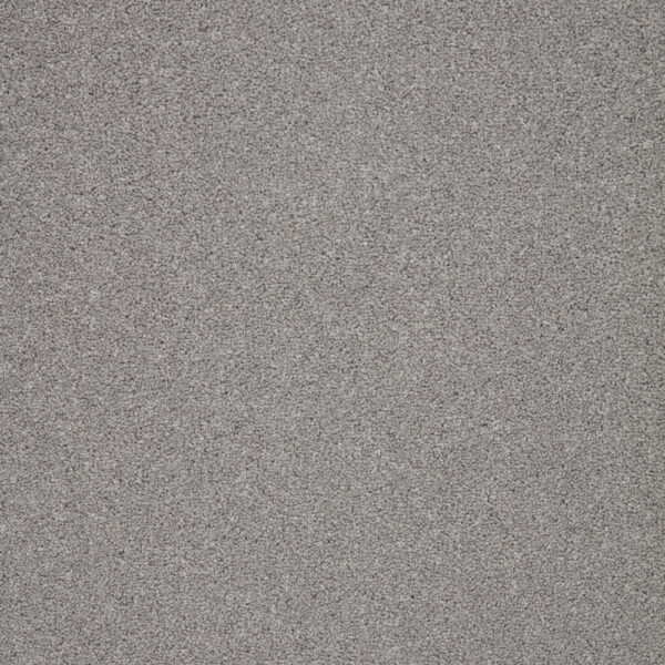 Seagull